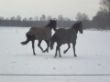 Winter 2012 128.JPG