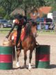 Westernturnier mit Dancer 07.08.2011 Haßbergen 339.jpg