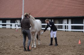 Reitabzeichen 2013 009.JPG