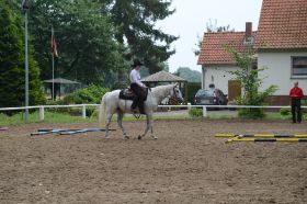 Reitabzeichen 2013 034.JPG