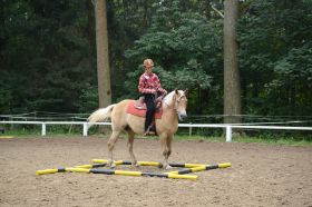 Reitabzeichen 2013 038.JPG