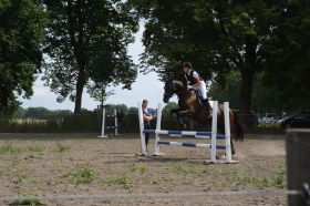 Reitabzeichen 2013 088.JPG