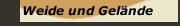 Weide und Gelände